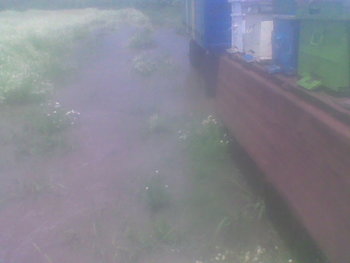 Mar-Apr 2013012.jpg