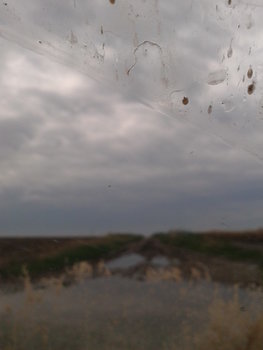 2013-07-01 11.36.41.jpg