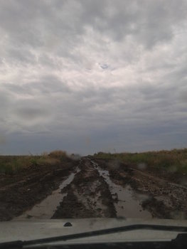 2013-07-01 11.41.09.jpg