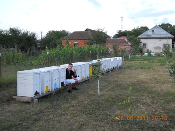 rsz_dscn0957.jpg