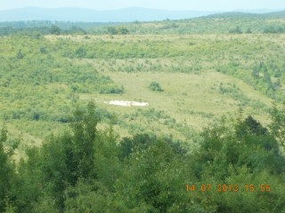 STUPINA LUI FLORINELU 020.JPG