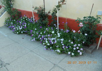 rsz_1picture_016.jpg