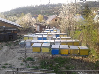 rsz_2013-04-19_184429.jpg