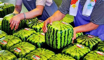 cub 1.jpg (74.25 KiB) Vizualizat de 2444 ori cub 1.jpg