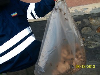 003 (855 x 642).jpg