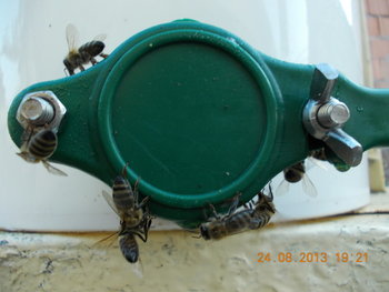 rsz_picture_018.jpg
