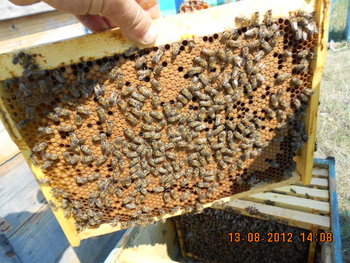 DSCN2352.jpg