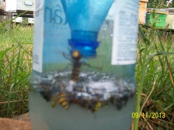 022 (855 x 642).jpg