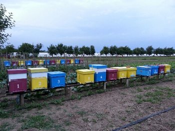 20130610_205241.jpg.jpg