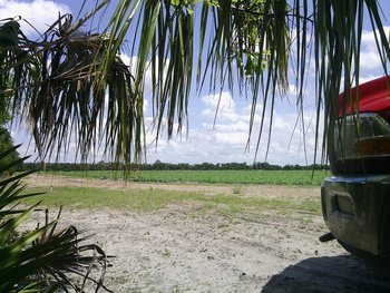IMG_20130430_144032 - Copy.jpg