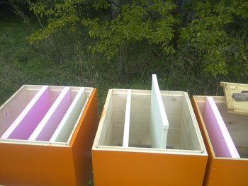 rsz_img-20130921-01254.jpg