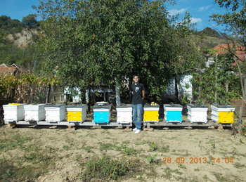 rsz_2picture_001.jpg