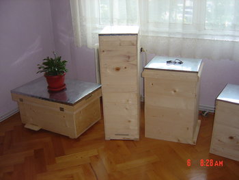 rsz_dsc03825.jpg
