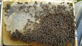 2013-10-09-201_1.jpg