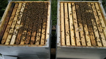 2013-10-13-206_1.jpg