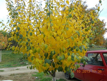 rsz_1dscn1664.jpg