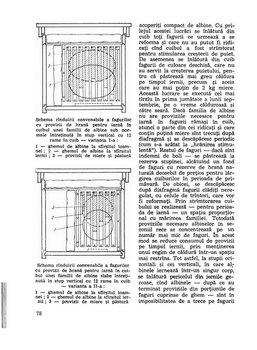 Pages from Albinele si ...Noi - C.Antonescu - 1979 - 340 pag - p77.jpg