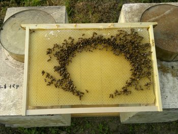 2013-06-16-052.jpg