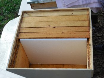 DSCN6294.JPG