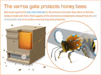 varroa_gate_protects_4_.png