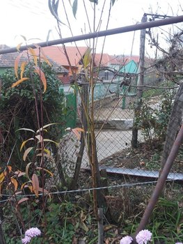 20131110_155326.jpg