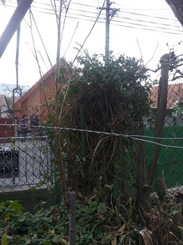 20131110_155343.jpg