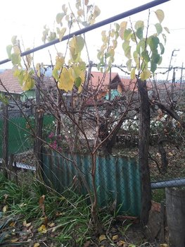 20131110_155405.jpg