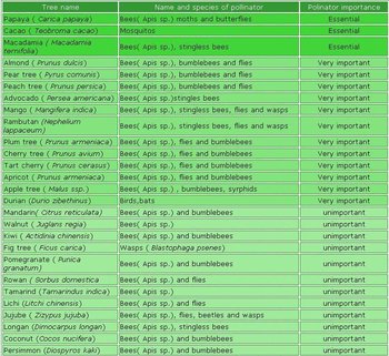 Lista de plante exotice melifere.JPG