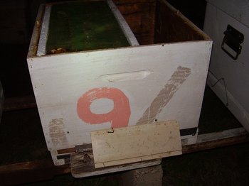 poze felix 074.JPG