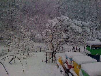 IMG_2052_800x600.jpg