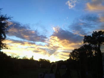 IMG_20131005_071638 (Large).jpg