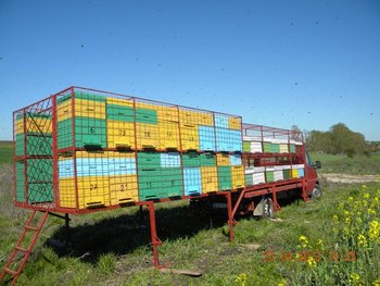 DSCN8598.JPG