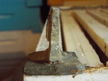 rsz_1picture_031.jpg