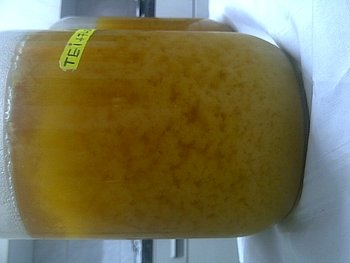 IMG-20131207-01906.jpg