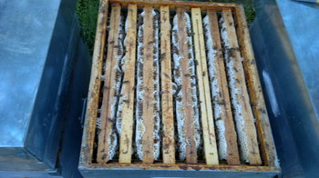 2013-07-10-076_1.jpg