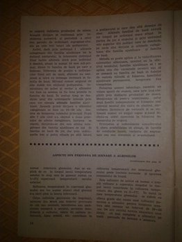 28112013487.jpg