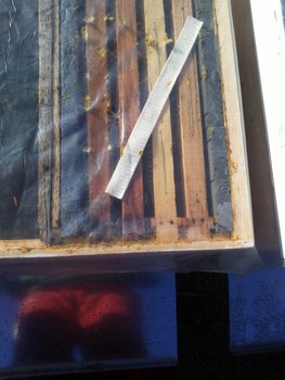 IMG198 (450 x 600).jpg