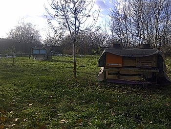 IMG-20131207-01913.jpg