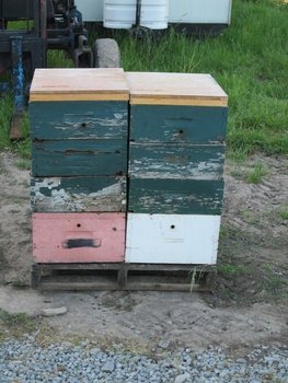 IMG_0126.JPG