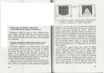 Sporirea productiei de miere_23.GIF