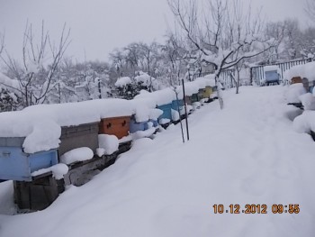 comeat 2012 010.JPG