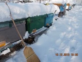 comeat 2012 022.JPG
