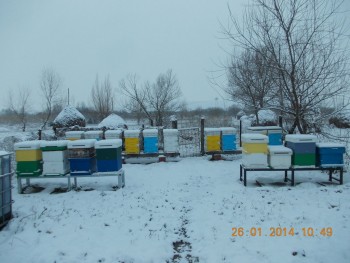 rsz_picture_004.jpg