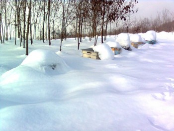 18feb1.jpg