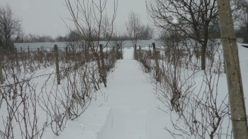 P1100346.JPG