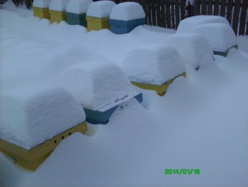 rsz_1img_0103.jpg