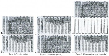 shema_123.jpg