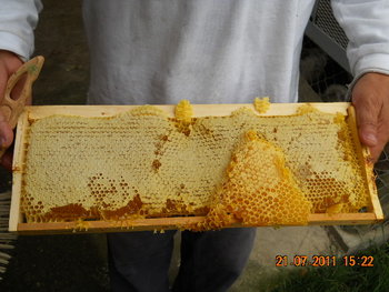 DSCN1131.JPG