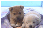 559134_4064950218672_1610971030_a.jpg.gif