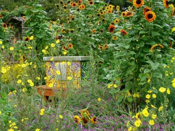honeybeegardensunflowers.jpg